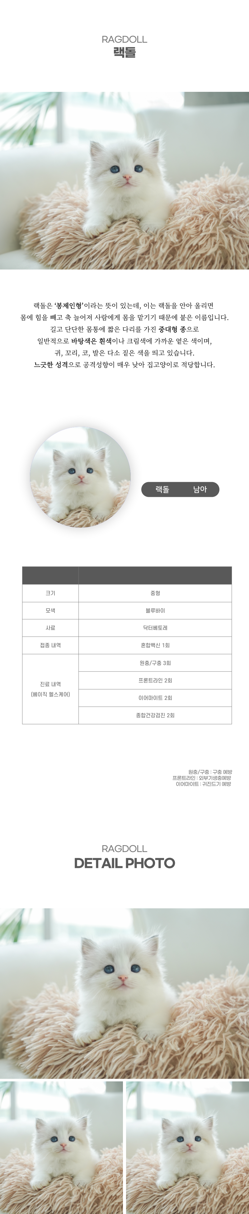 랙돌_상세이미지_2